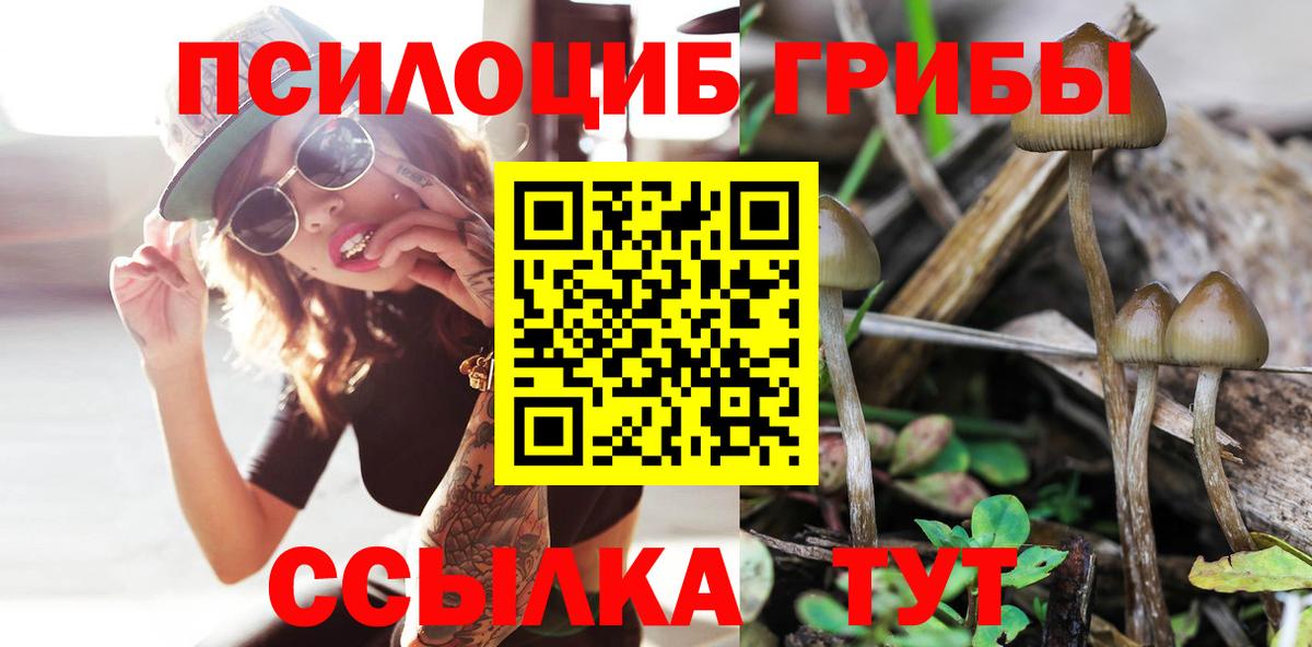 Галлюциногенные грибы Psilocybine cubensis Лангепас