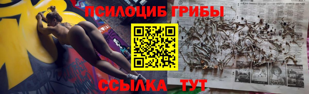 Лангепас  купить  сайты  Вход с VPN  Псилоцибиновые грибы GOLDEN TEACHER 