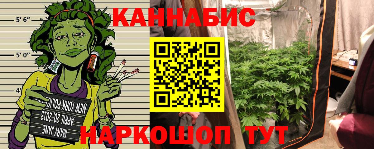 Шишки марихуана план Лангепас